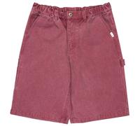Element Big Carpenter Shorts