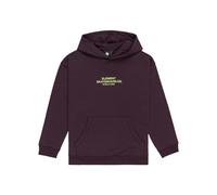 Element Boy's Skateboard Co Hood Youth T-Shirt (pack of 1)