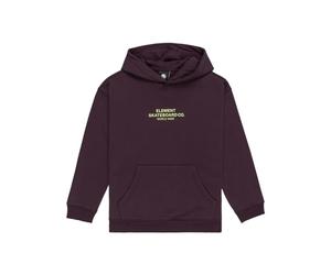 Element Boy's Skateboard Co Hood Youth T-Shirt (pack of 1)