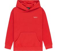 Element Co Hoodie