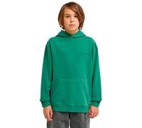 Element Cornell 3.0 Hoodie