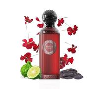 Anfar 1950 Fouco 100ml Extrait Parfum Elements Collection Unisex