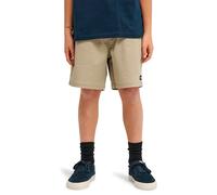 Element Elbws00123 Chino Shorts