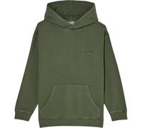 Element Hoodie LOWCASE PIGMENT PO Y Boys Green