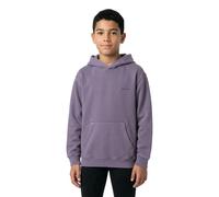 Element Lowcase Pigment Hoodie