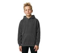 Element Lowcase Pigment Hoodie