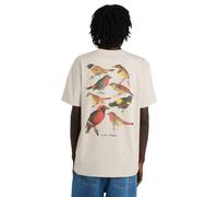 Element - Orni Oat Milk - T-Shirt - beige - M - 100% Organic Cotton M