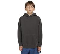 Element Pullover Hoodie LOWCASE PIGMENT PO Y Boy's Black XL/16