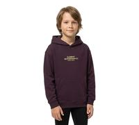 Element Skateboard Co Hoodie