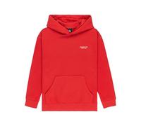 Element Sweater CO PO Y Boy's Red XS/8