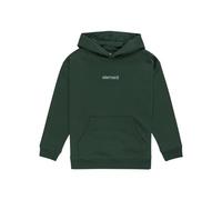 Element Sweater Simple Logo Hood Youth Youth Multicolor M/12