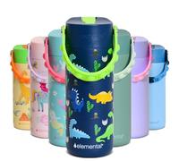 Elemental Insulated Kids Water Bottle, Stainless Steel Water Bottle with Straw Lid & Pop-It Handle, Leak-Proof Water Bottles for School, Boys or Girls, Travelling and Sports, 18oz - Dinosaur