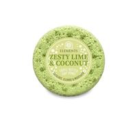 Elements of Fragrance Exfoliating Body Soap-Filled Sponge - Handmade UK | Triple Butter Blend with Shea & Cocoa Butter | Up to 35 Uses | Fruity Sweet Scent | Cruelty-Free 200g (Zesty Lime & Coconut)