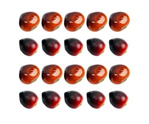 ELEOUTI Artificial Chestnuts Fine Workmanship Foam Ornaments 20pcs Lightweight Photography Props with Assorted Sizes for Model Landscape and Desktop Decor for Home Assorted style