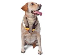 Elephant and Sunflower Dog Bandana Pet Scarf Accessories for Small Medium Dogs Cats Photo Prop, Triangle Pet Bandanas Adjustable Puppy Bib Washable Dog Kerchief Puppy Neckerchief