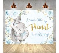 Elephant Baby Shower Backdrop Boy Floral Rose Blue and Gold Leaves Party Banner Cake Table Decoration Supplies Photography Background A Sweet Little Peanut Birthday Photo Booth Studio Props 7X5ft