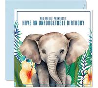 Elephant Birthday Cards for Men & Women - Ele-phantastic - Animal 145mm Greeting Cards, Birthday Card for Mum Dad Sister Brother Daughter Uncle Auntie Bestie Work Colleague Friend Funny bday