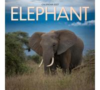 Elephant Calendar 2027: Gentle Giants and Wild Places