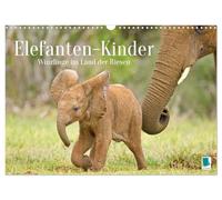Elephant Children: Tiny in the Land of Giants (Wall Calendar 2026 DIN A3 Landscape), CALVENDO Monthly Calendar: African Elephant Babies Play in the Protection of Their Herd (CALVENDO Animals)