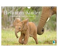 Elephant Children: Tiny in the Land of Giants (Wall Calendar 2026 DIN A4 Landscape), CALVENDO Monthly Calendar: African Elephant Babies Play in the Protection of Their Herd (CALVENDO Animals)
