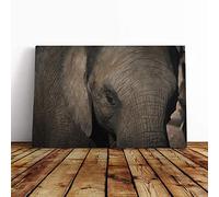 Elephant Close Up Canvas Print | Gallery Wrapped 30mm Frame Wall Art | 20x14 inches | Ready to Hang | Modern Animals Picture | Living Room Bedroom Lounge Office