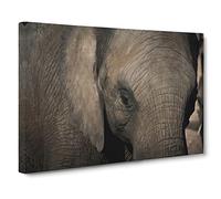 Elephant Close Up Canvas Print | Gallery Wrapped 30mm Frame Wall Art | 30x20 inches | Ready to Hang | Modern Animals Picture | Living Room Bedroom Lounge Office
