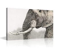Elephant Close-up Canvas Wall Art Picture Artwork for Bedroom Wall Decorations for Living Room Animal Pictures Wall Artwork Framed and Ready to Hang Small Size (12x18in)