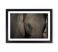 Elephant Close Up Framed Print | A2 Oak Framed Wall Art | Ready to Hang | Modern Animal Picture | Living Room Bedroom Lounge Office
