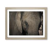 Elephant Close Up Modern Framed Print | A2 Oak Framed Wall Art | Ready to Hang | Modern Animal Picture | Living Room Bedroom Lounge Office