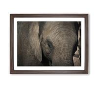 Elephant Close Up Modern Framed Print | A3 Walnut Framed Wall Art | Ready to Hang | Modern Animal Picture | Living Room Bedroom Lounge Office