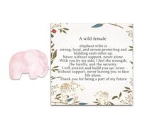 Elephant Decor Elephant Statue Elephant Gifts Elephant Figurine Elephant Friendship Gift Elephant Ornament Crystal Elephant Special Friend Keepsake Sisterhood Ornament (Pink crystal elephant)