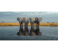 Elephant Diamond Art, Pattern Animal Diamond Painting Kits for Adults 5D DIY Full Round Drill Gem Crystal Art Kits Crafts for Adults Beginner for Home Decor, Room Decor, Gifts 24X48 Inch -bby2603J6