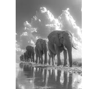 Elephant Diamond Painting Animal Diamond Art Kits Adults Beginners DIY 5D Full Drill Square Gem Crystal Art Rhinestone Embroidery Paintings Crafts Picture Kits for Home Wall Decor Gift 80x110cm a1-11L