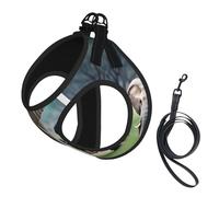 Elephant Family print Dog Harness and Leash Set, Reflective Adjustable Puppy Vest for Small Medium Large Dogs, Cats