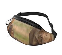 Elephant Family Printed Fanny Pack for Men Women Crossbody Waist Bag Pack Bum Bag with Adjustable Strap for Hiking Running Travel Cycling