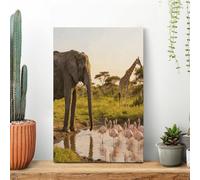 Elephant, Flamingo, Giraffe Wall Art for Living Room Modern Canvas Framed Prints Paintings Artwork for Walls, Minimalist Abstract Art Pictures for Hallway, Office Wall Decor 16x24inch(40x60cm)