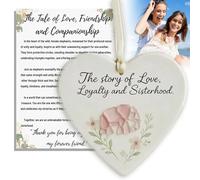 Elephant Friendship Heart Ornament, The Sisterhood Heart - A Tribute to Love and Loyalty, Sea Glass Friendship Gift - Sisterhood Elephant Ornament for Women Best Friends Sisters (Pink)