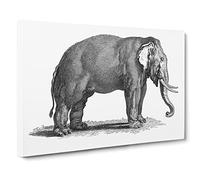 Elephant In Black & White By George Shaw Canvas Print | Gallery Wrapped 30mm Frame Wall Art | 30x20 inches | Ready to Hang | Retro Animals Picture | Living Room Bedroom Lounge Office