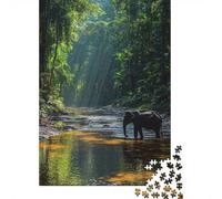 Elephant in Jungle River_2 Jigsaw Puzzle 1000 Pieces, Animal Artwork Puzzle for Adults, Thoughtful Gift, 38x26cm/1000pcs