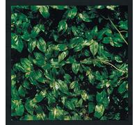 Elephant Kashimashi - Kokoro Ni Hana Wo [VINYL]