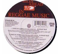 ... Elephant Man Ft Twista - Jook Gal Remix [12" VINYL]