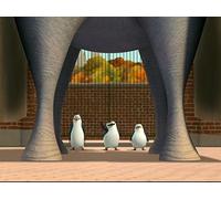 Elephant Never Forgets, an / Otter Things Have Happened