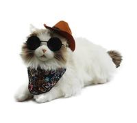 ELEPHANT ROBOTICS metaCat Ragdoll, Lifelike Companion Robot Cat with Voice Command & Rich Animation Interaction, The Best Gifts for Your Beloved (Type-C Charging); Stuffed Toy Cat with Cowboy Suit