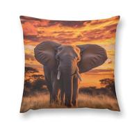 Elephant Sunset Cozy Pillow Case Cover Plush