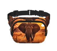 Elephant Sunset Square Double-Layer Waist Bag Mini Adjustable Waist Belt Bag Exercise Running Travel Hiking, Black, One Size