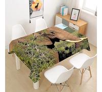 Elephant Tablecloth Square 100x100 cm - 3D Printed Wild Animals Pattern Table Cover and Table Cloth - Wipe Clean Waterproof Polyester Fabric for Garden, Kitchen, Party, Picnic 3983v