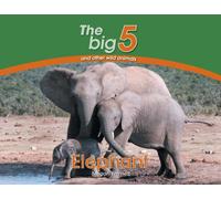 Elephant : The Big 5 and other wild animals