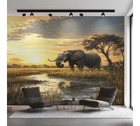 Elephant Wallpaper for Living Room, African Tropical Jungle Wall Mural for Bedroom 200x140 cm, Non-Woven Photo Wallpaper, Home Decor D&O85