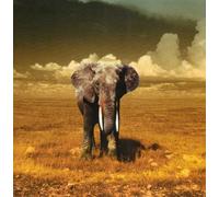 Elephantalk - Leap