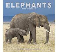 Elephants 2025 Square Wall Calendar | Animal, Wildlife Calendar